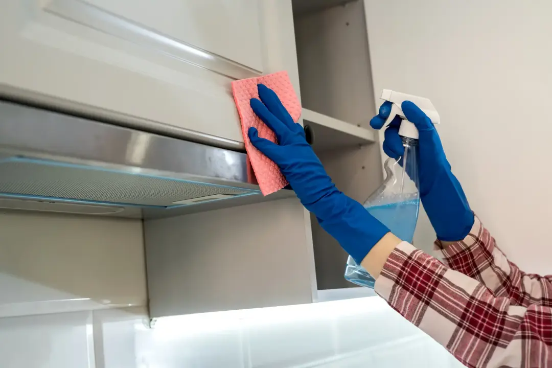 Steps to Maintain Hygienic Kitchen Surfaces