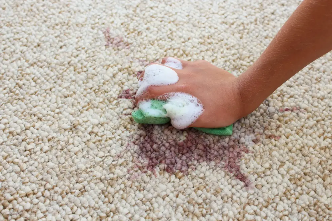 Common Upholstery Cleaning Mistakes